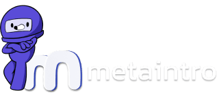 MetaIntro